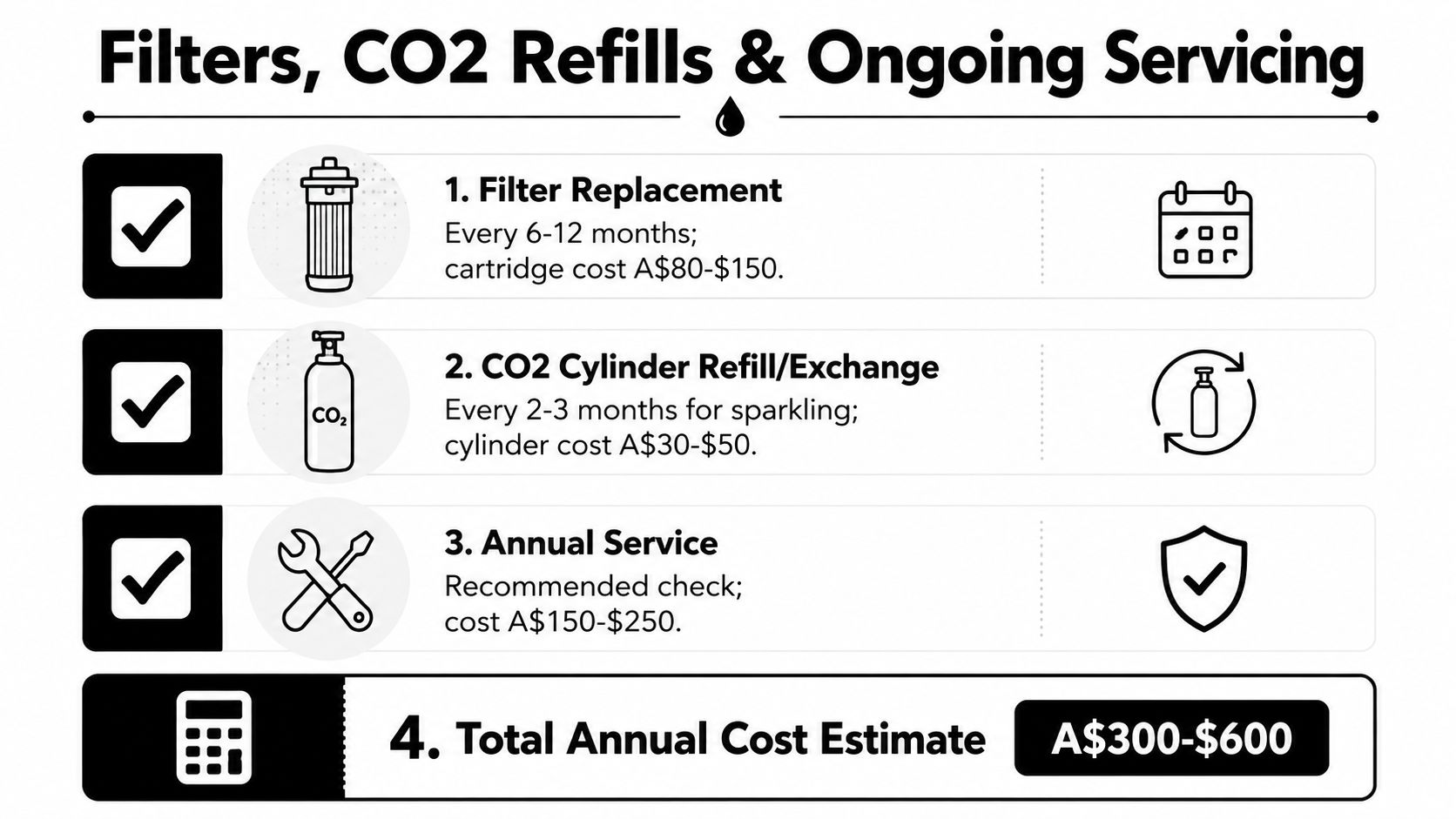 An infographic detailing the annual costs for water filter replacement, CO2 cylinder refills, and system servicing.