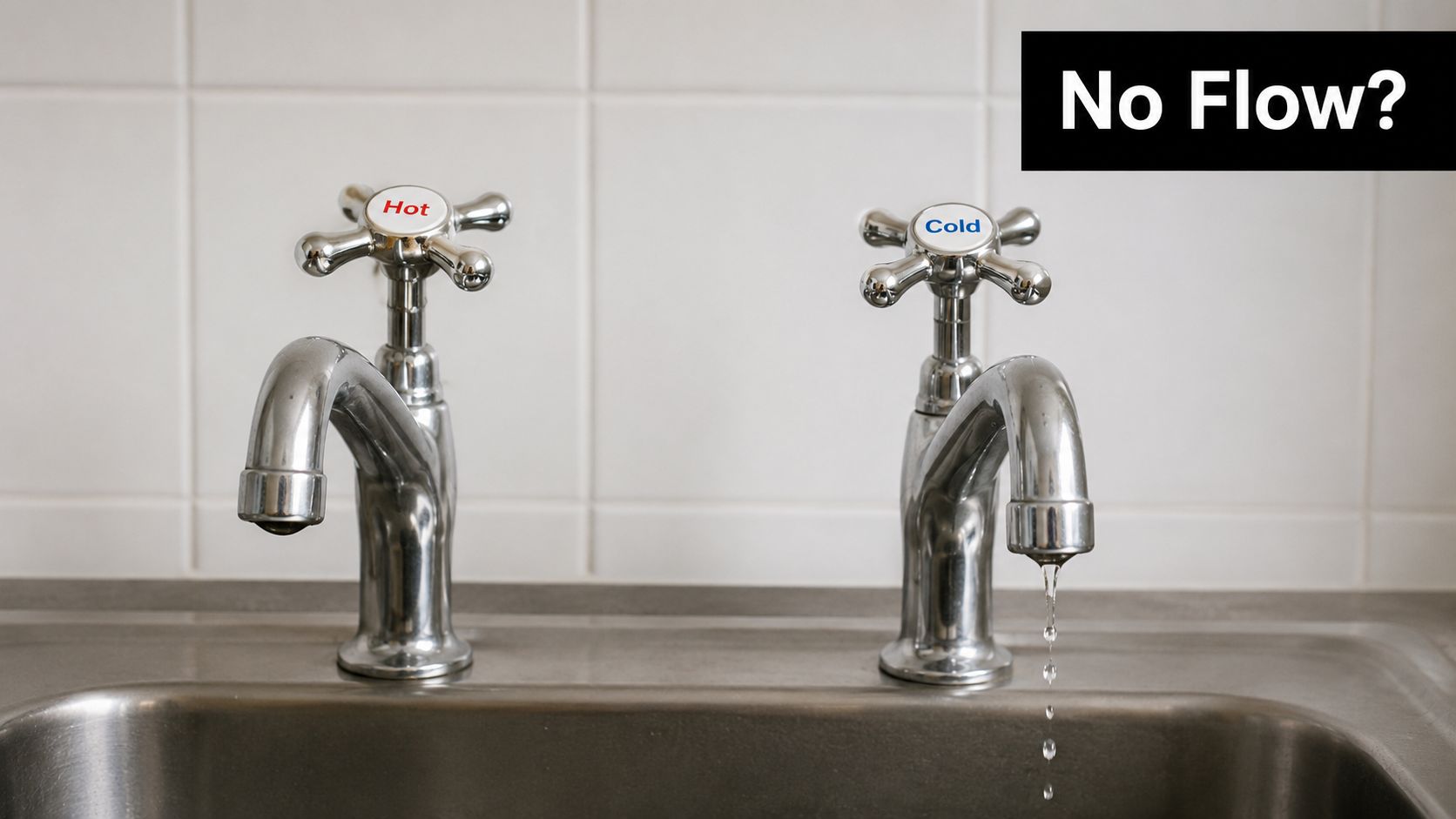 A stainless steel sink with two taps, one labeled hot and one cold, showing no water flow.