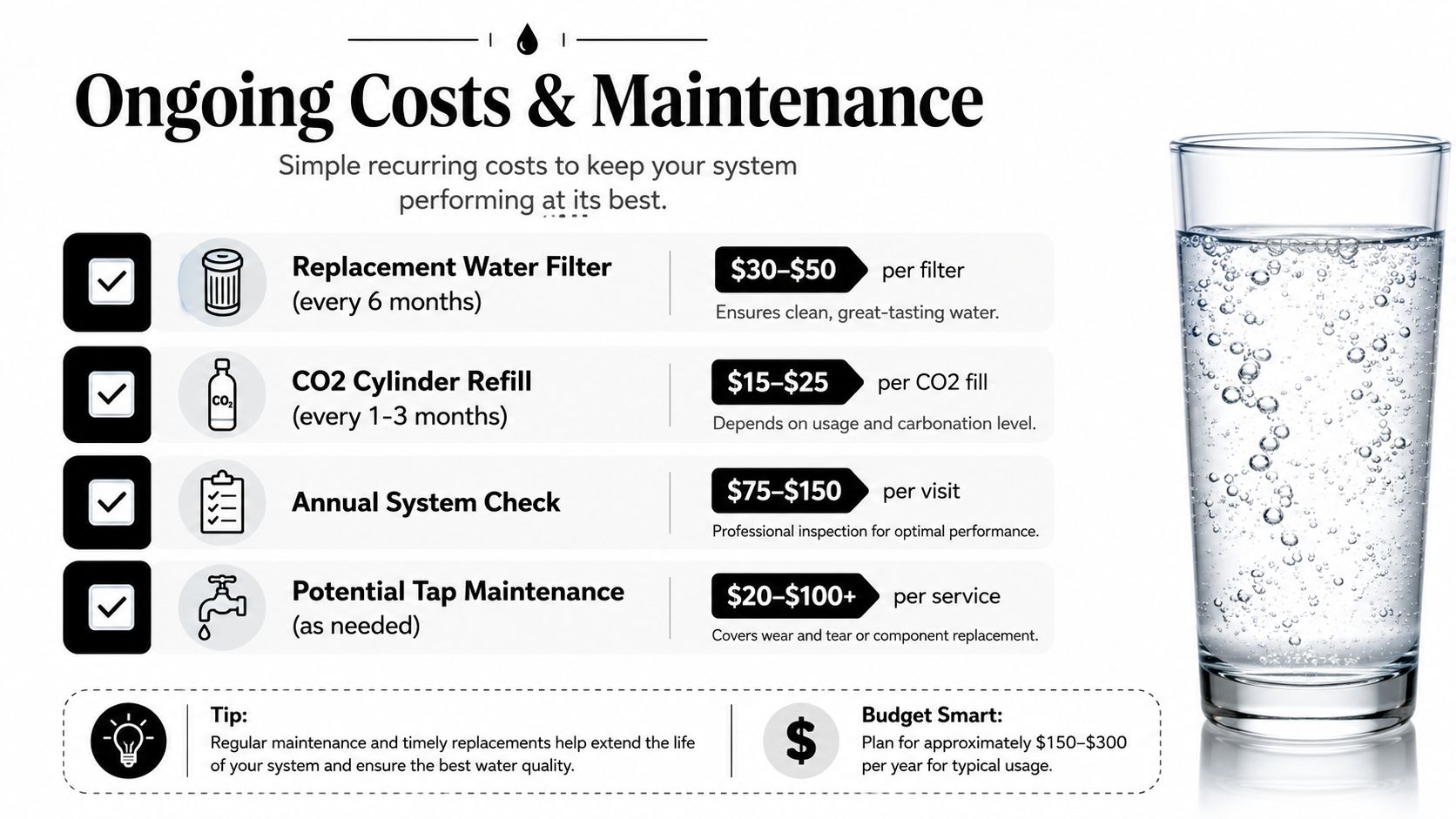 A table outlining the recurring maintenance costs and expenses for a home sparkling water tap system.